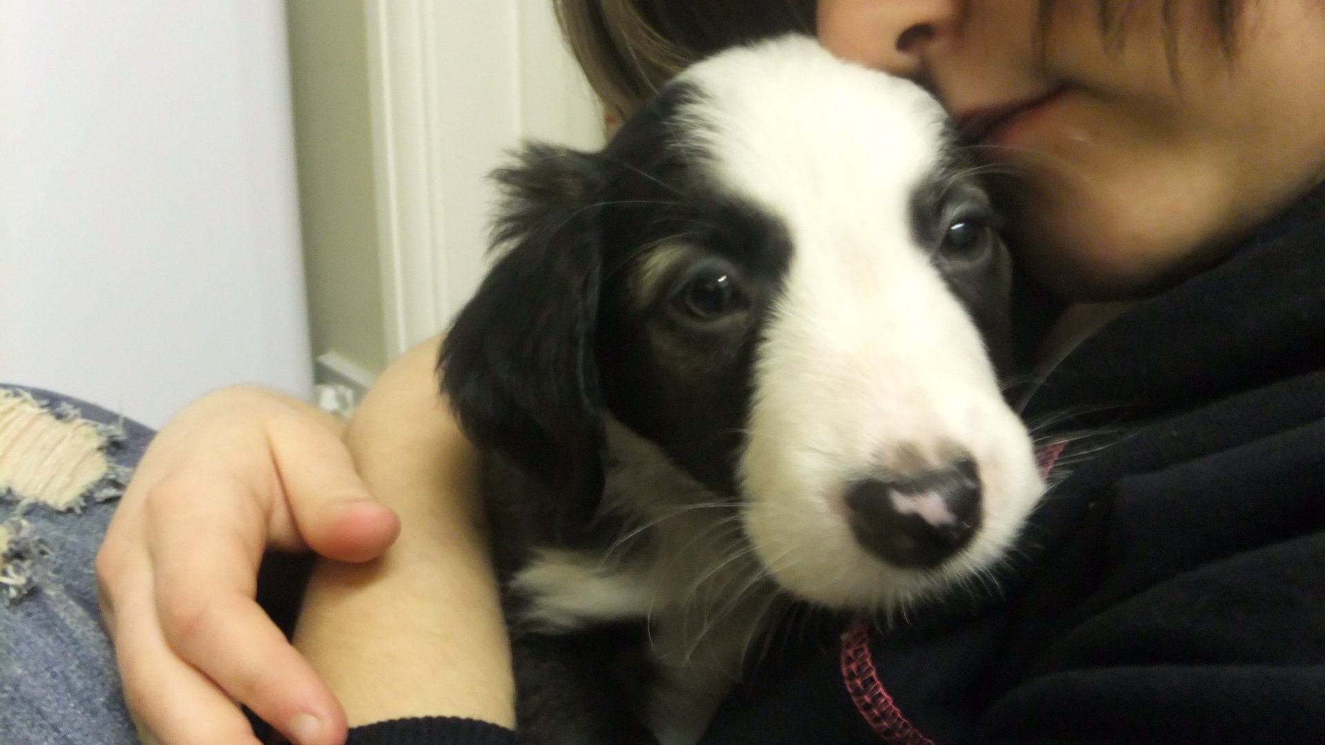 201457_210939378933361_6038073_o