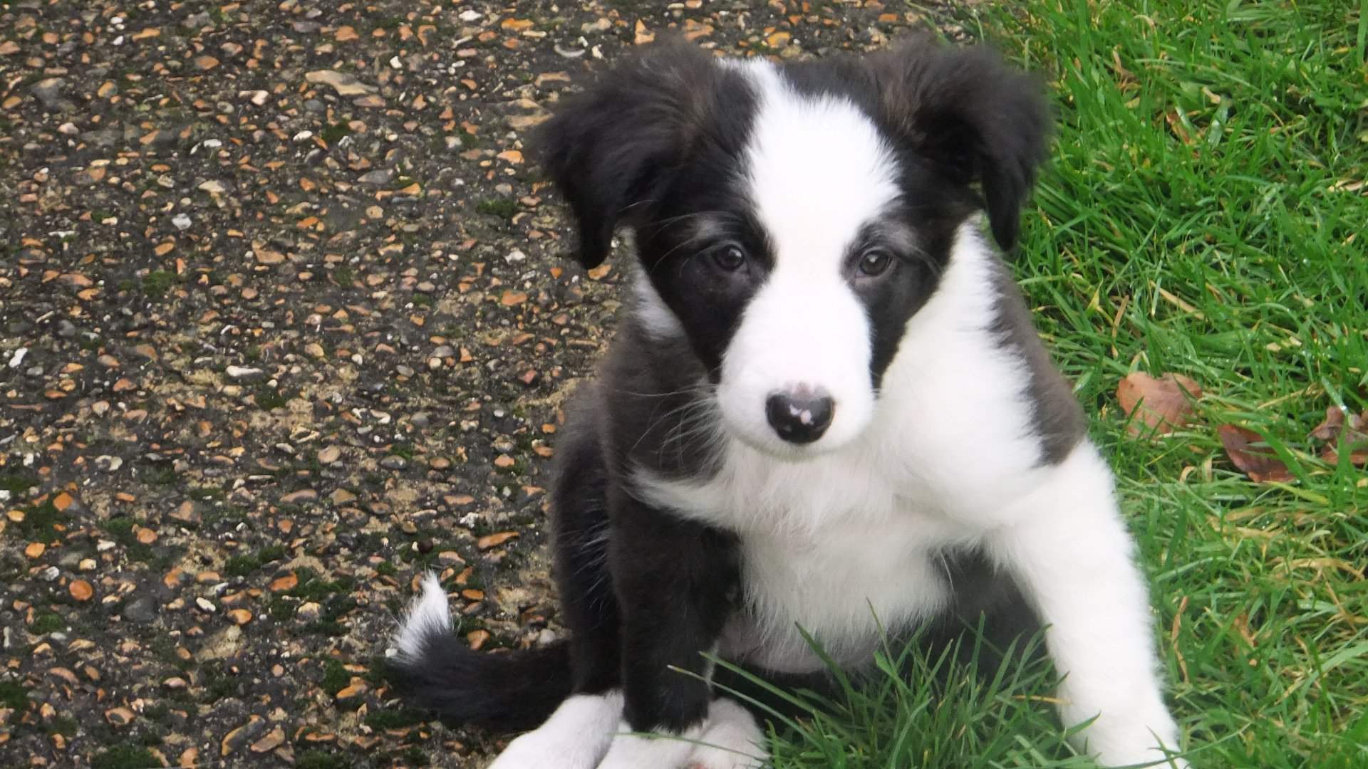 201810_210940095599956_348458_o