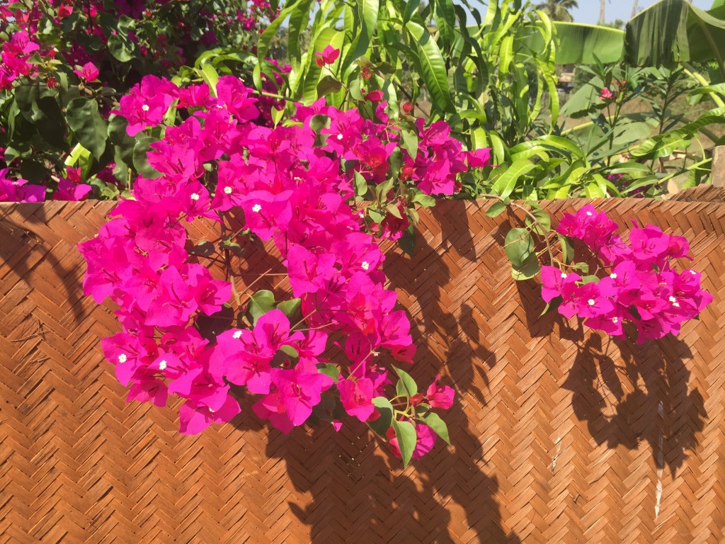 Eight Things I Love About&nbsp;Goa!